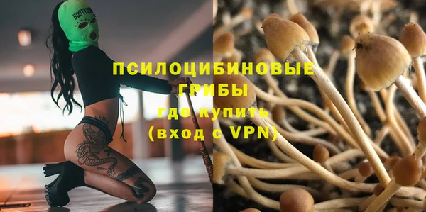 твердый Баксан